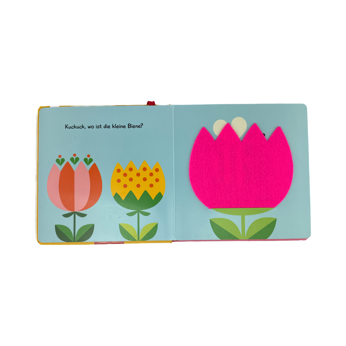 Buch "Kuckuck, kleiner Käfer"