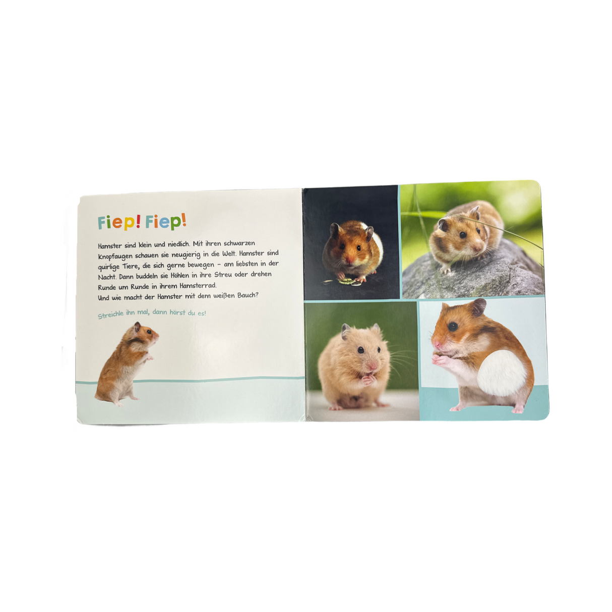 Buch "Hör mal rein, wer kann das sein? Haustiere"