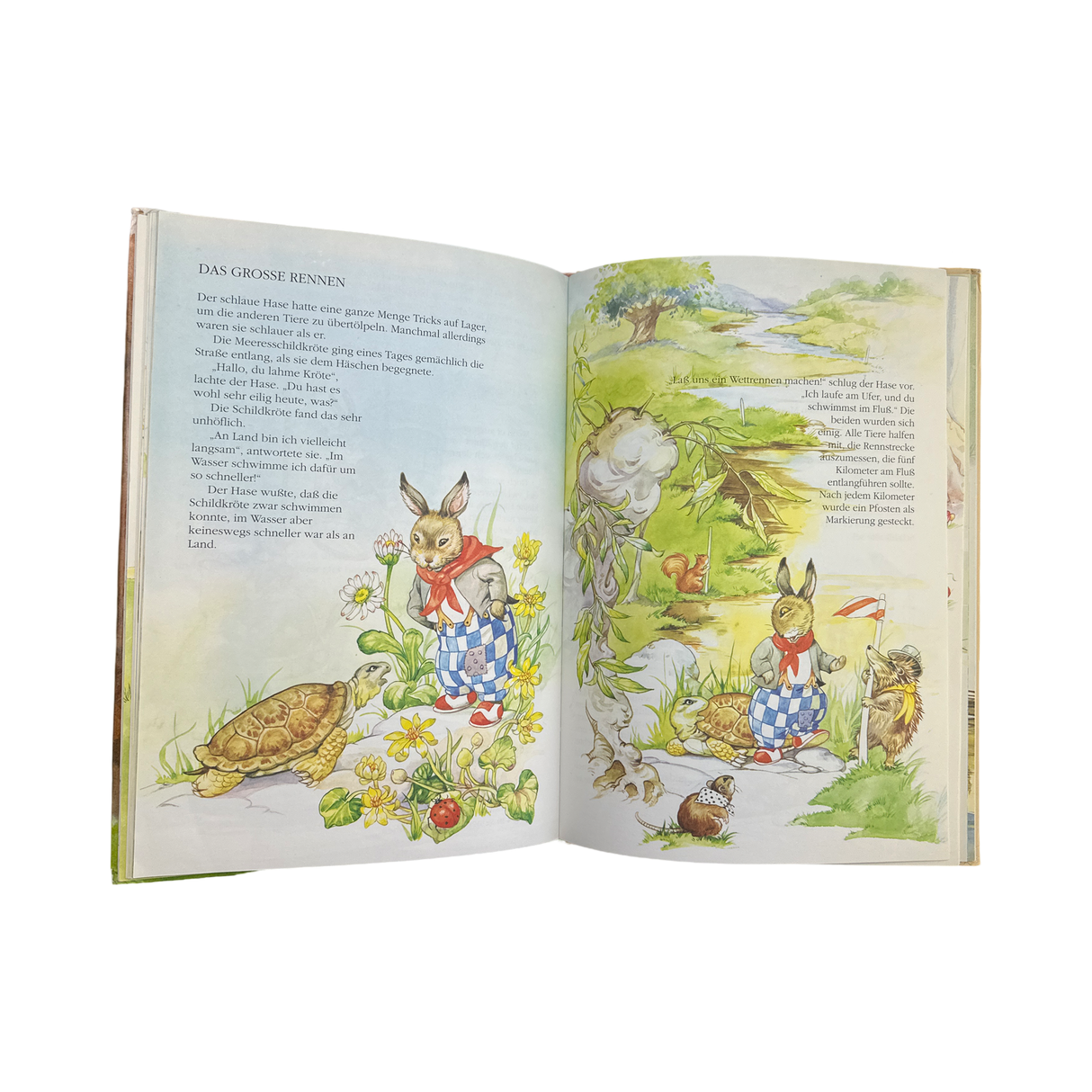 Buch "Meine schönsten Hasen Geschichten"