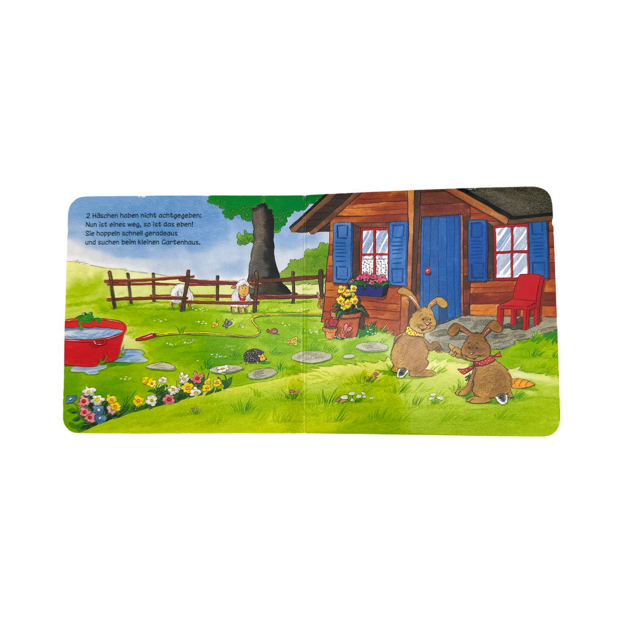 Buch "5 hoppelnde Häschen"