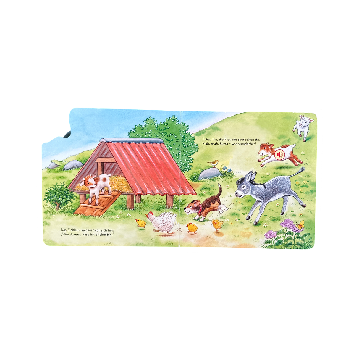 Buch "Hör hin! Was ist das? Meine Tierkinder"