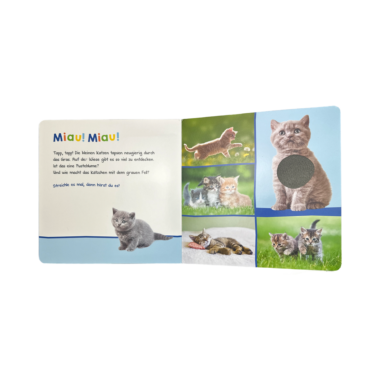 Buch "Hör mal rein, wer kann das sein? Tierkinder"