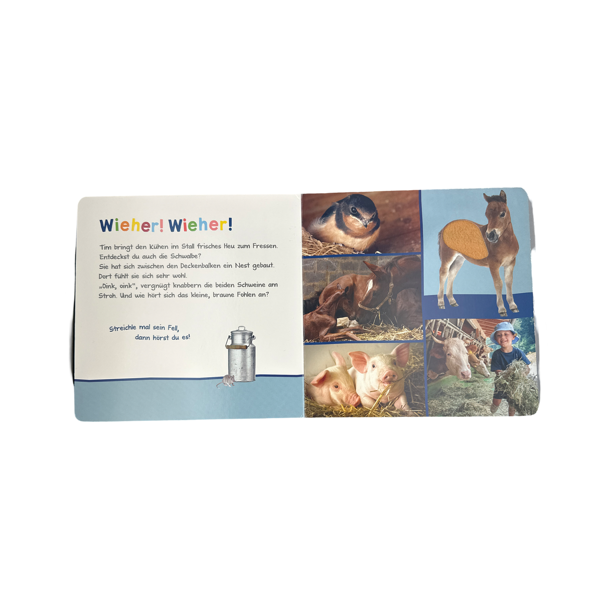 Buch "Hör mal rein, wer kann das sein? Auf dem Bauernhof"