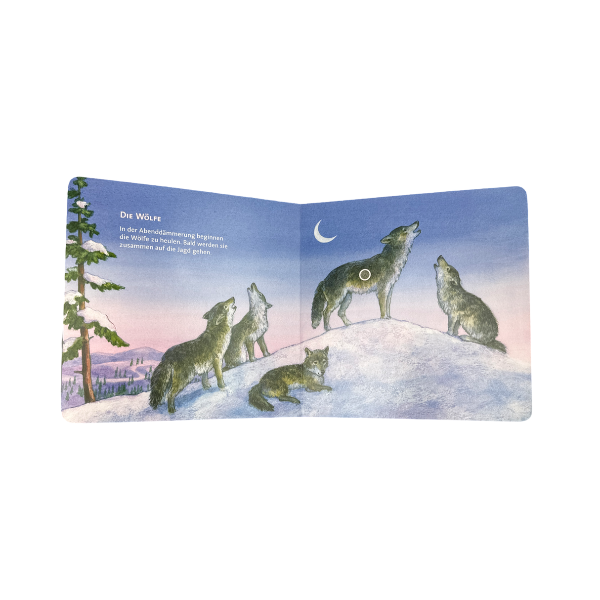 Buch "Hör Mal, Wilde Tiere"