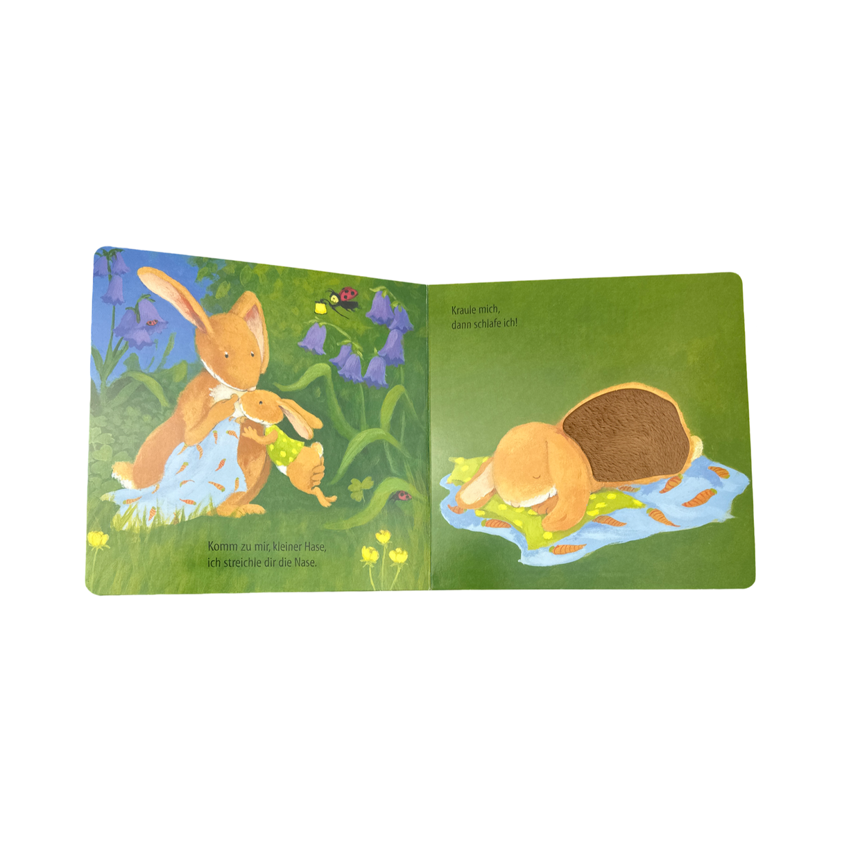 Buch "Kraule mich, dann schlafe ich"