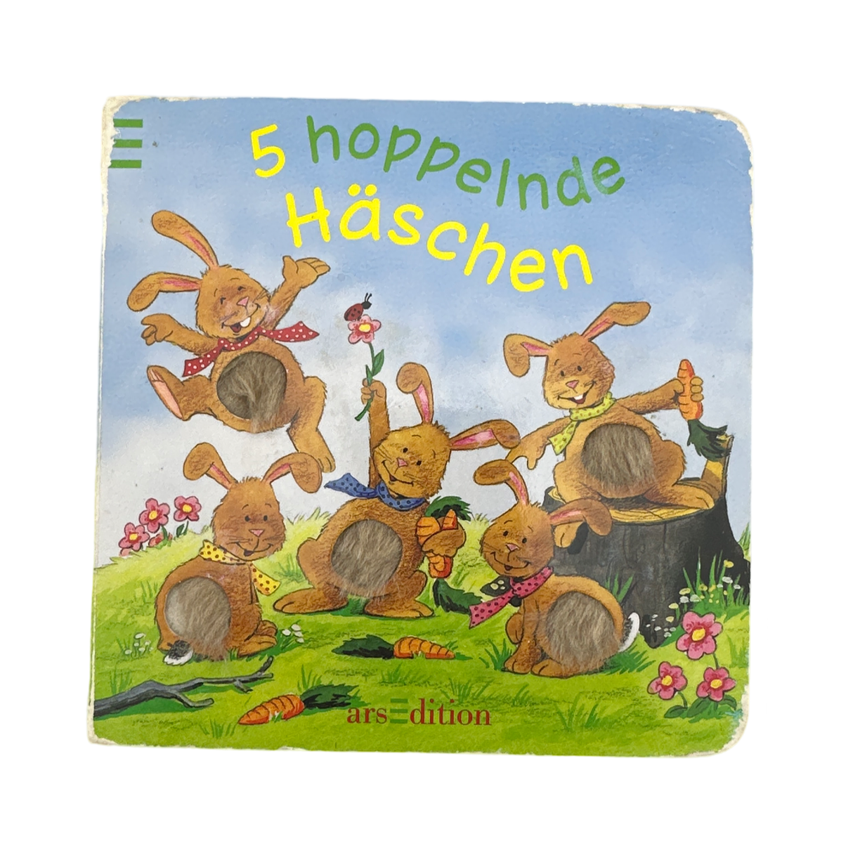 Buch "5 hoppelnde Häschen"