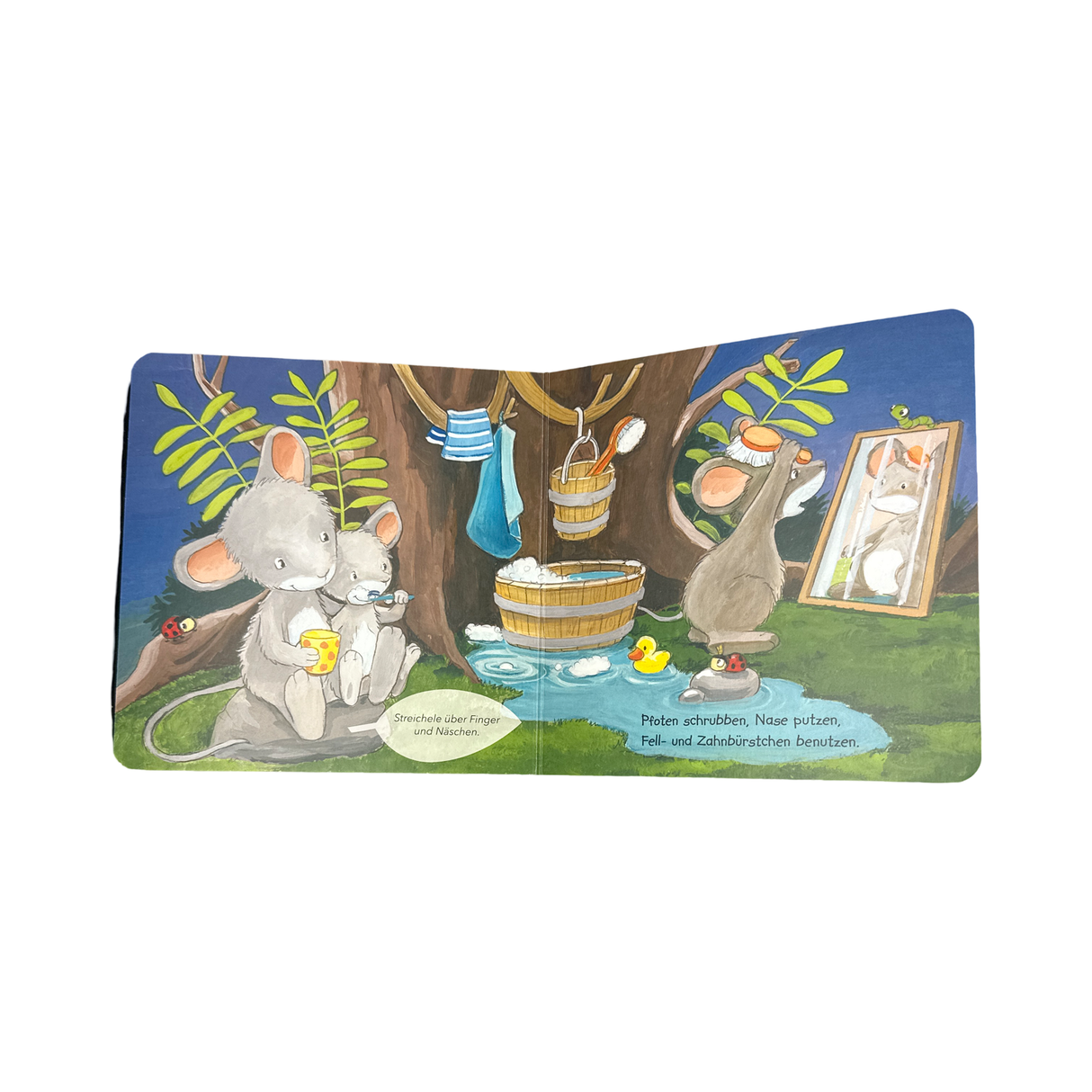 Buch "Wenn am Himmel Sterne stehen"