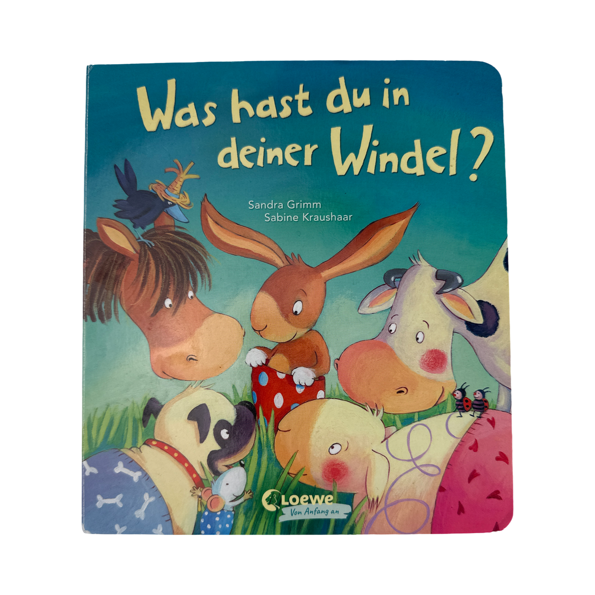 Buch "Was hast du in deiner Windel?"